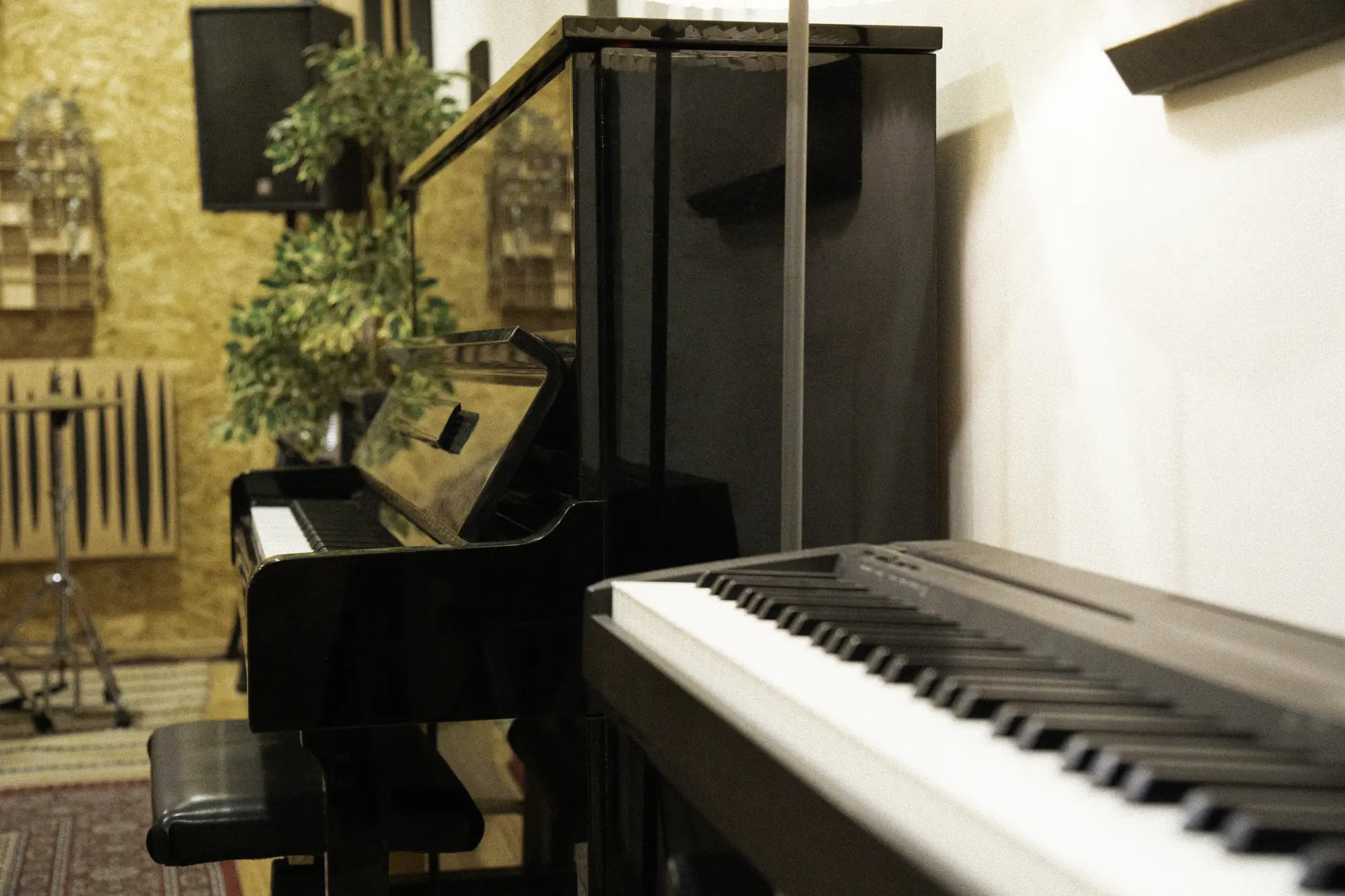 Microfones de alta qualidade na Sala Principal para gravação vocal e instrumental